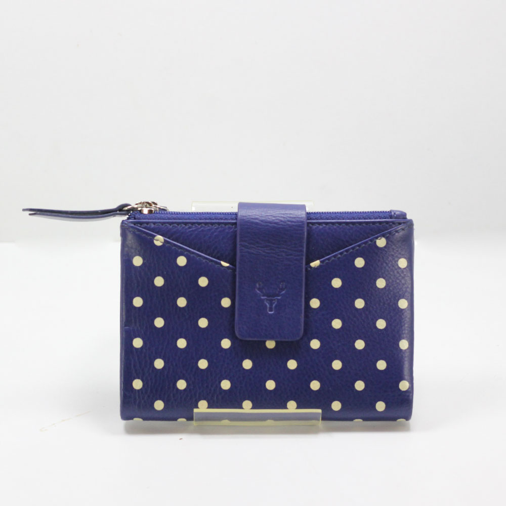 Polka dots-Blue